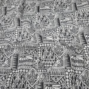 Digital Print On Mul Chanderi